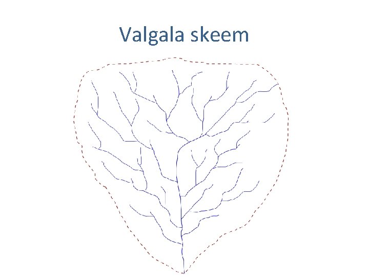 Valgala skeem 