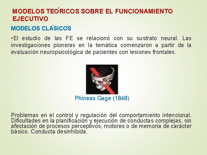 MODELOS TEO RICOS SOBRE EL FUNCIONAMIENTO EJECUTIVO MODELOS CLA SICOS • El estudio de