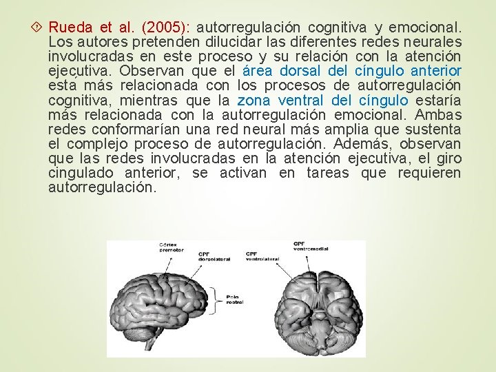  Rueda et al. (2005): autorregulación cognitiva y emocional. Los autores pretenden dilucidar las