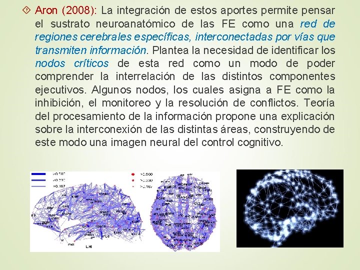  Aron (2008): La integración de estos aportes permite pensar el sustrato neuroanatómico de