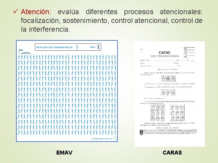 ü Atención: evalúa diferentes procesos atencionales: focalización, sostenimiento, control atencional, control de la interferencia.