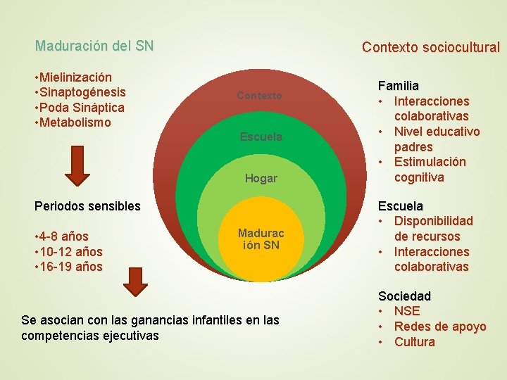 Maduración del SN • Mielinización • Sinaptogénesis • Poda Sináptica • Metabolismo Contexto sociocultural