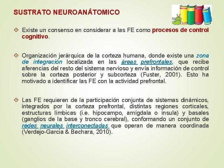 SUSTRATO NEUROANÁTOMICO Existe un consenso en considerar a las FE como procesos de control