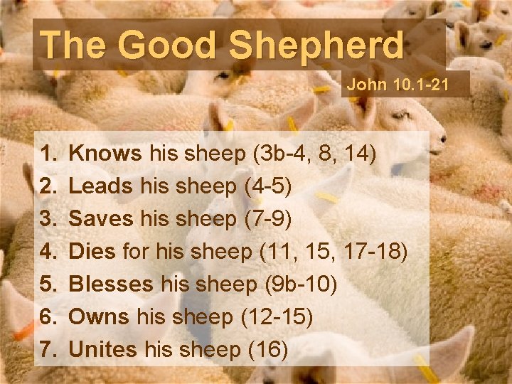 The Good Shepherd John 10. 1 -21 1. 2. 3. 4. 5. 6. 7.