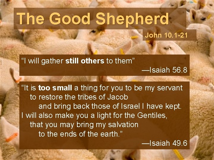 The Good Shepherd John 10. 1 -21 “I will gather still others to them”