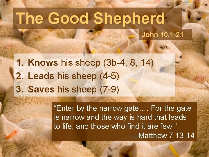 The Good Shepherd John 10. 1 -21 1. Knows his sheep (3 b-4, 8,