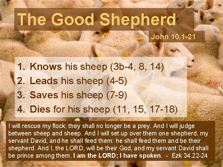 The Good Shepherd John 10. 1 -21 1. 2. 3. 4. Knows his sheep