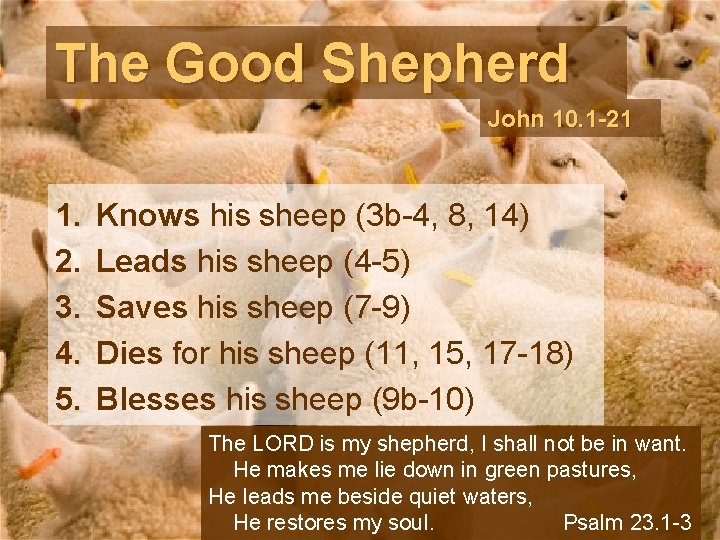 The Good Shepherd John 10. 1 -21 1. 2. 3. 4. 5. Knows his