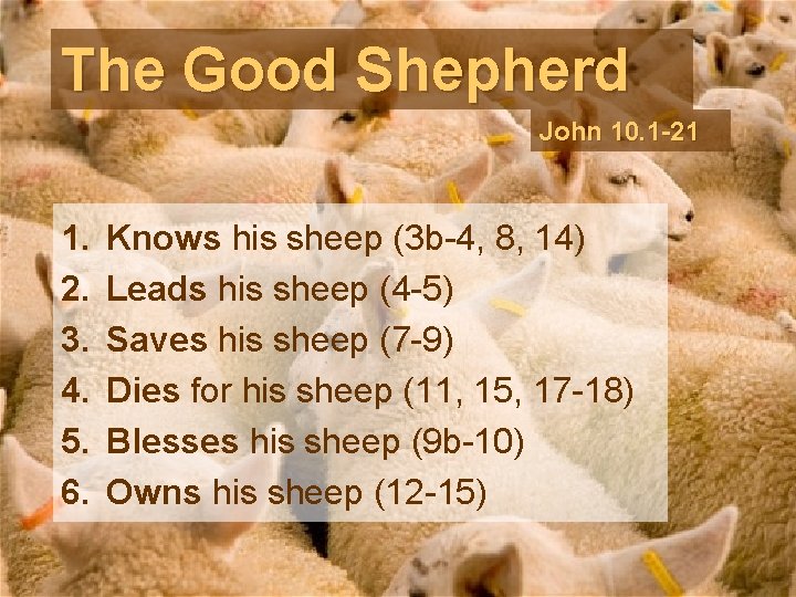 The Good Shepherd John 10. 1 -21 1. 2. 3. 4. 5. 6. Knows