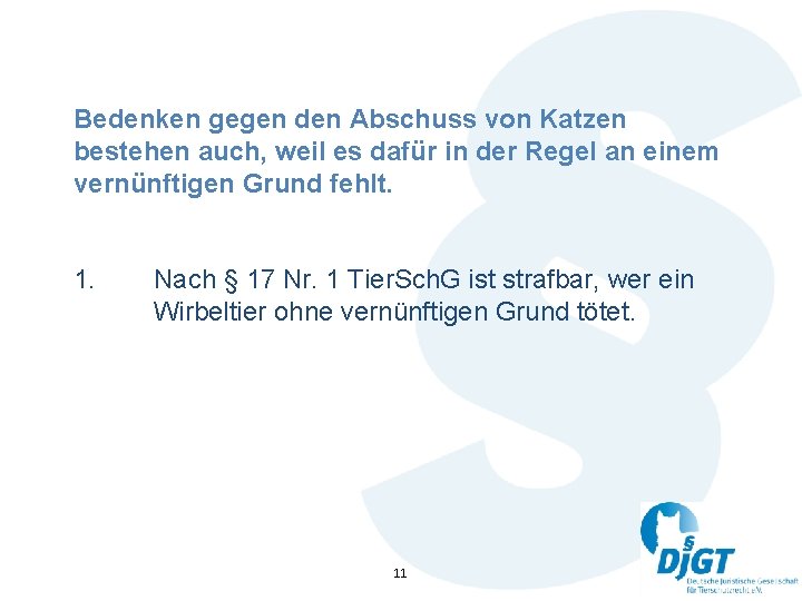 Bedenken gegen den Abschuss von Katzen bestehen auch, weil es dafür in der Regel