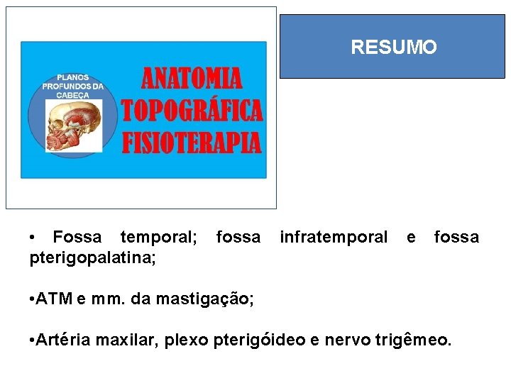 RESUMO • Fossa temporal; pterigopalatina; fossa infratemporal e fossa • ATM e mm. da