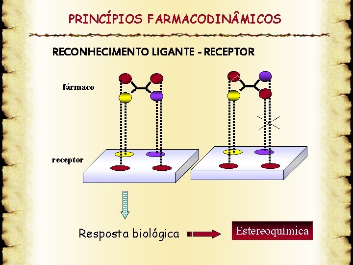 PRINCÍPIOS FARMACODIN MICOS RECONHECIMENTO LIGANTE - RECEPTOR fármaco receptor Resposta biológica Estereoquímica 