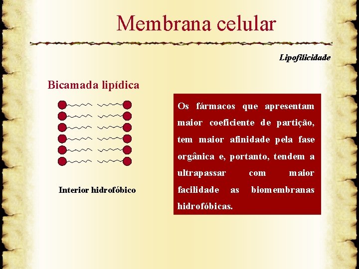 Membrana celular Lipofilicidade Bicamada lipídica Os fármacos que apresentam maior coeficiente de partição, tem