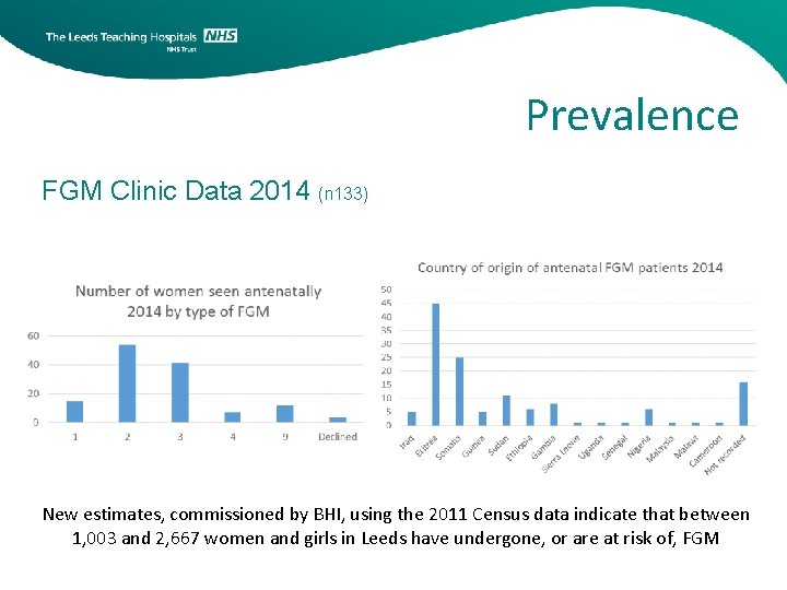 Prevalence FGM Clinic Data 2014 (n 133) New estimates, commissioned by BHI, using the