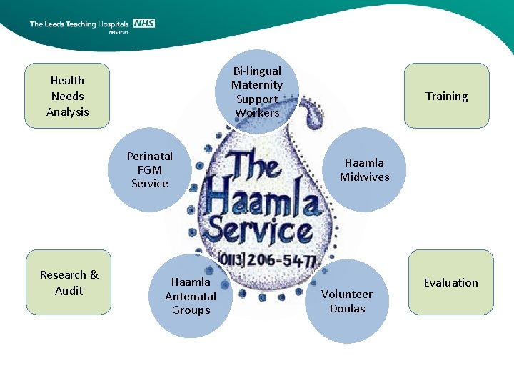 Bi-lingual Maternity Support Workers Health Needs Analysis Perinatal FGM Service Research & Audit Haamla