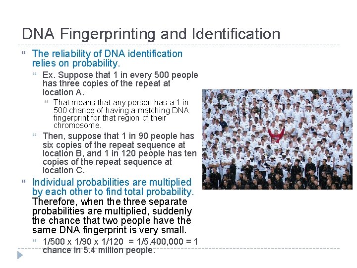 DNA Fingerprinting and Identification The reliability of DNA identification relies on probability. Ex. Suppose