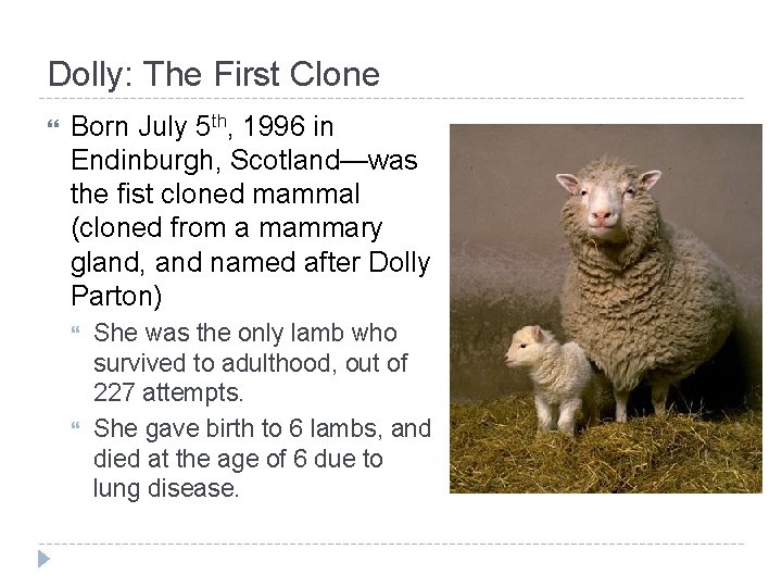 Dolly: The First Clone Born July 5 th, 1996 in Endinburgh, Scotland—was the fist