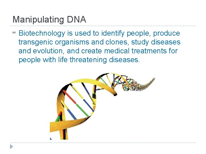 Manipulating DNA Biotechnology is used to identify people, produce transgenic organisms and clones, study