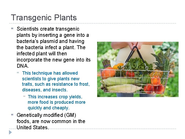 Transgenic Plants Scientists create transgenic plants by inserting a gene into a bacteria’s plasmid