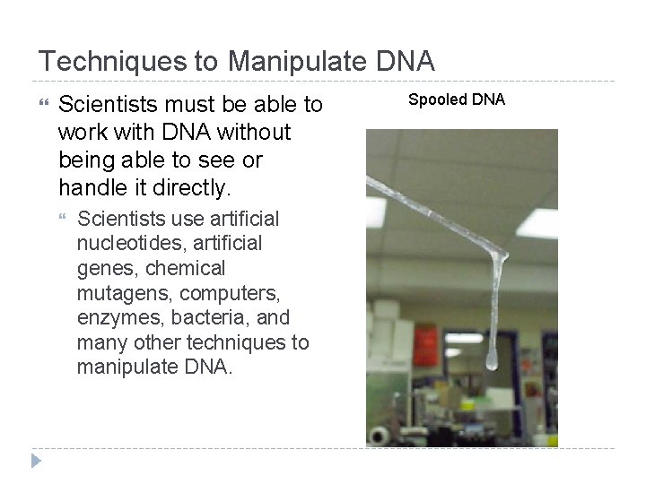 Techniques to Manipulate DNA Scientists must be able to work with DNA without being