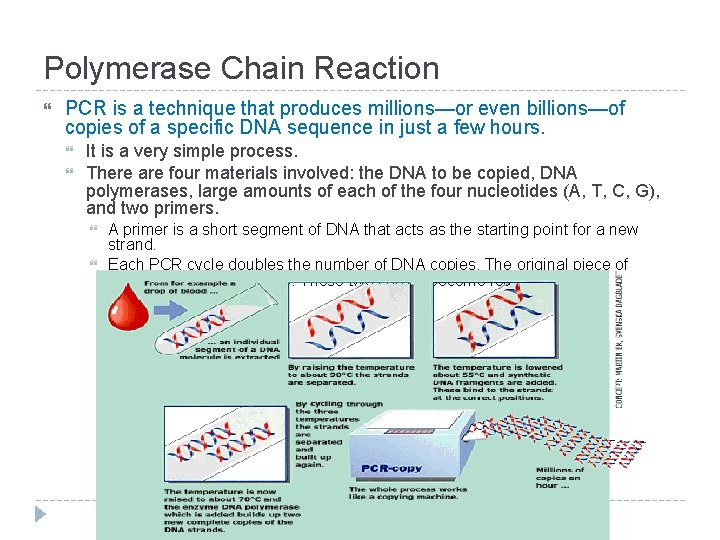 Polymerase Chain Reaction PCR is a technique that produces millions—or even billions—of copies of