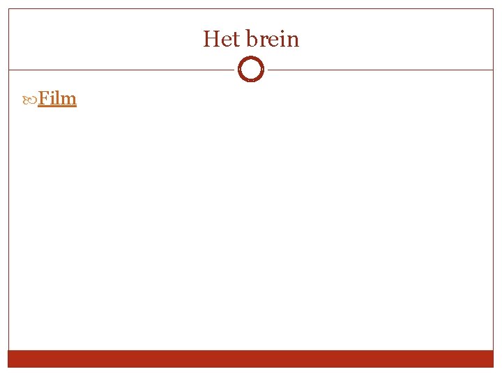 Het brein Film 