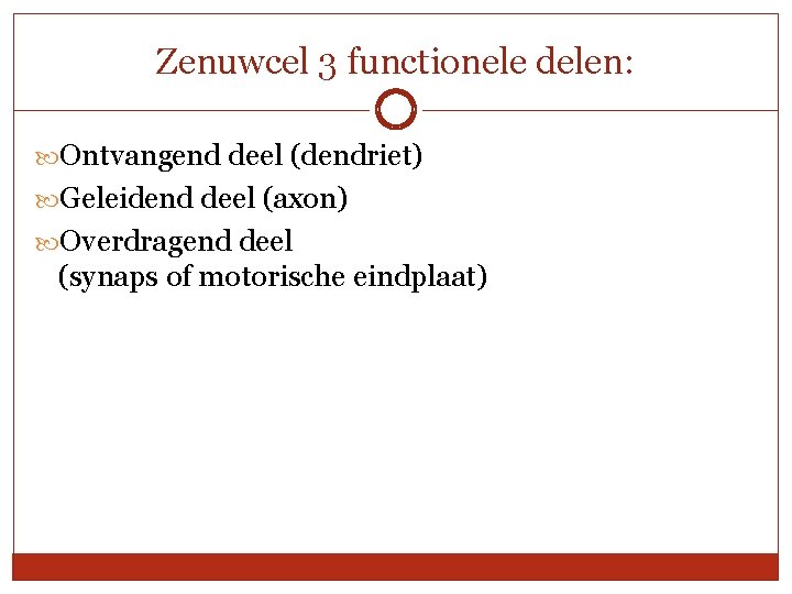 Zenuwcel 3 functionele delen: Ontvangend deel (dendriet) Geleidend deel (axon) Overdragend deel (synaps of