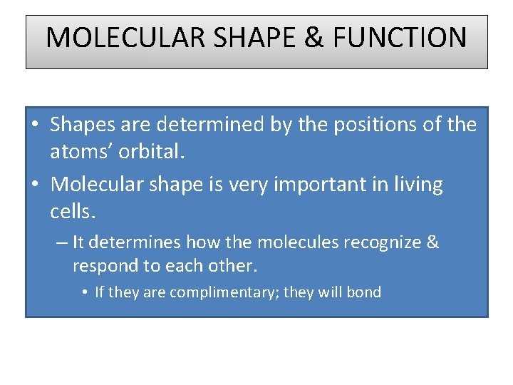 MOLECULAR SHAPE & FUNCTION • Shapes are determined by the positions of the atoms’