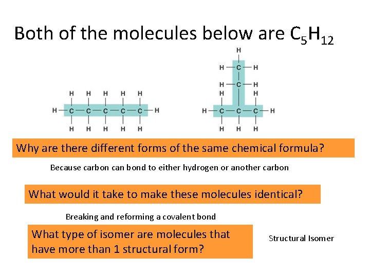 Both of the molecules below are C 5 H 12 Why are there different