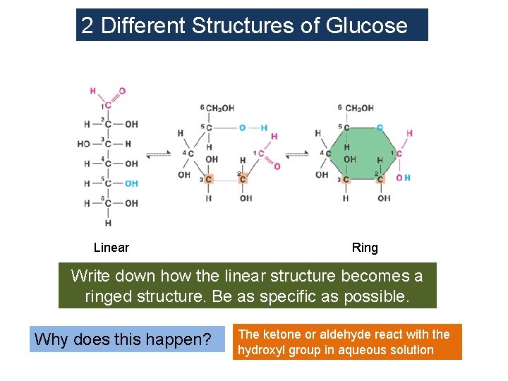 2 Different Structures of Glucose Linear Ring Write down how the linear structure becomes