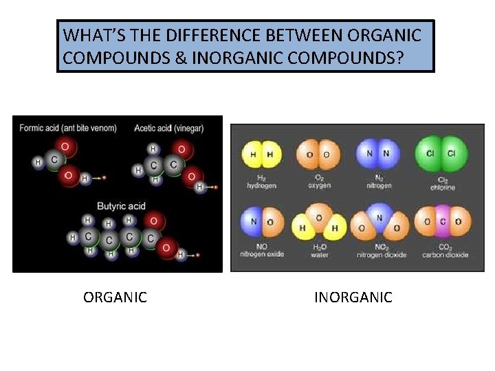 WHAT’S THE DIFFERENCE BETWEEN ORGANIC COMPOUNDS & INORGANIC COMPOUNDS? ORGANIC INORGANIC 