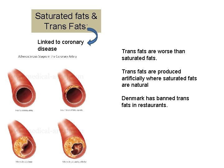 Saturated fats & Trans Fats: Linked to coronary disease Trans fats are worse than