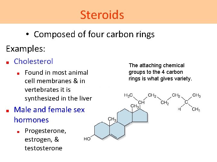 Steroids • Composed of four carbon rings Examples: Cholesterol Found in most animal cell