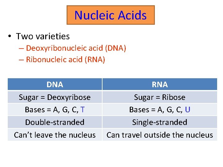 Nucleic Acids • Two varieties – Deoxyribonucleic acid (DNA) – Ribonucleic acid (RNA) DNA