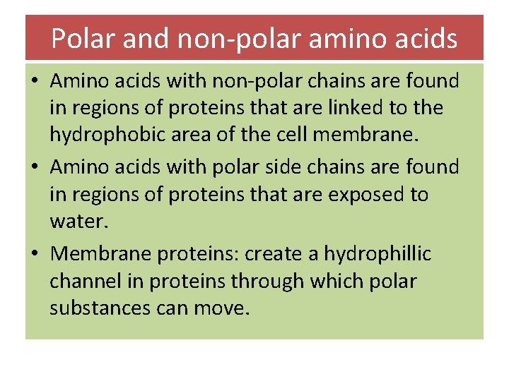 Polar and non-polar amino acids • Amino acids with non-polar chains are found in