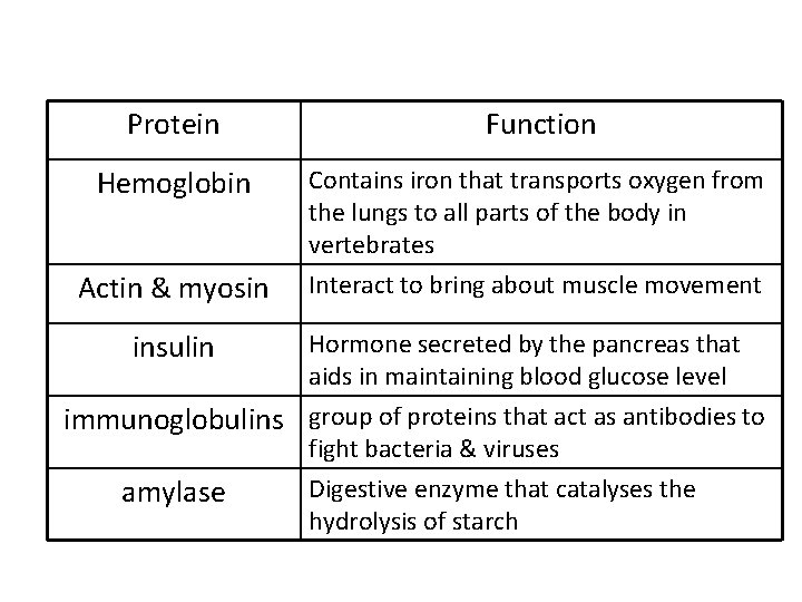Protein Function Hemoglobin Contains iron that transports oxygen from the lungs to all parts
