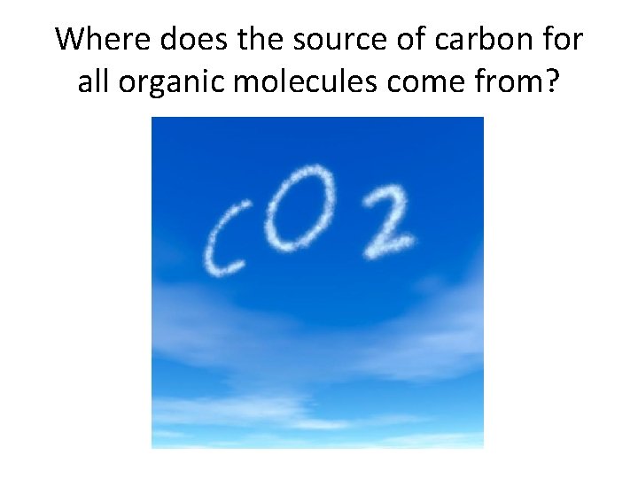 Where does the source of carbon for all organic molecules come from? 