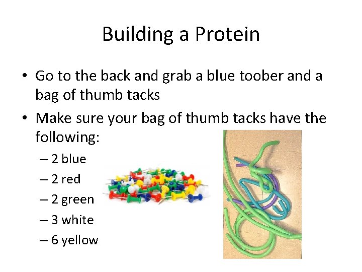 Building a Protein • Go to the back and grab a blue toober and