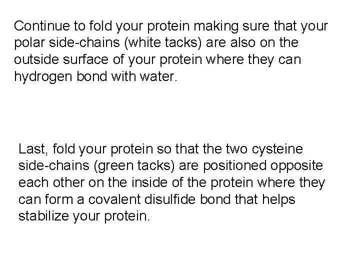 Continue to fold your protein making sure that your polar side-chains (white tacks) are