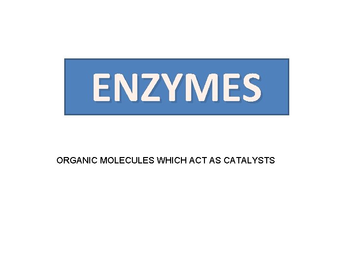 ENZYMES ORGANIC MOLECULES WHICH ACT AS CATALYSTS 