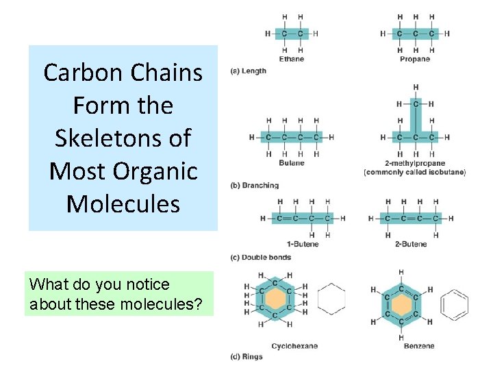 Carbon Chains Form the Skeletons of Most Organic Molecules What do you notice about