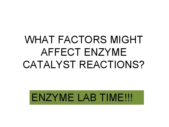 WHAT FACTORS MIGHT AFFECT ENZYME CATALYST REACTIONS? ENZYME LAB TIME!!! 