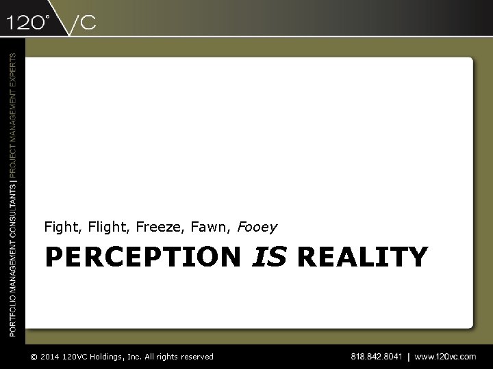 Fight, Flight, Freeze, Fawn, Fooey PERCEPTION IS REALITY © 2014 120 VC Holdings, Inc.