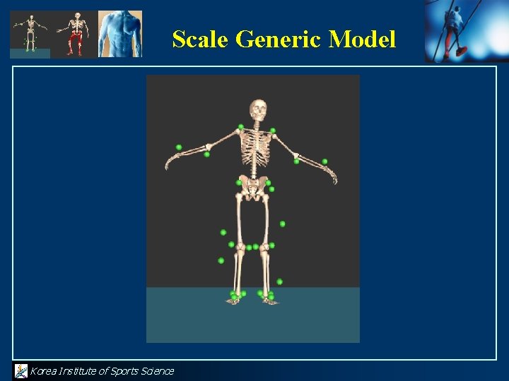 Scale Generic Model Korea Institute of Sports Science 