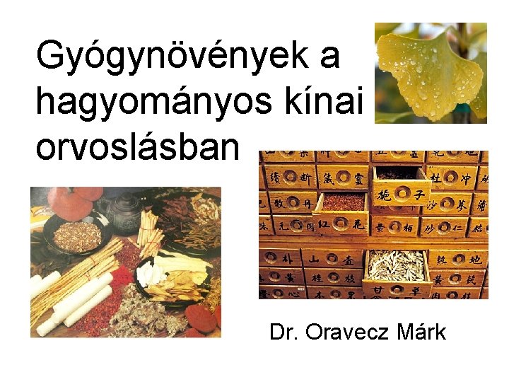 Gyógynövények a hagyományos kínai orvoslásban Dr. Oravecz Márk 