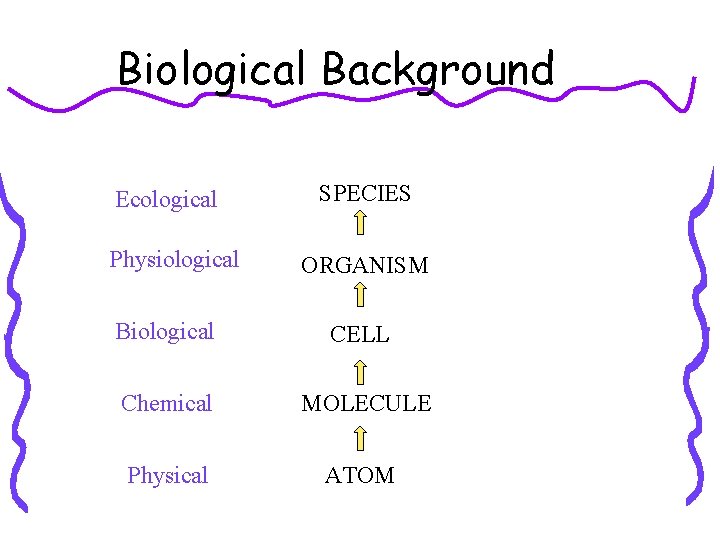Biological Background Ecological Physiological SPECIES ORGANISM Biological CELL Chemical MOLECULE Physical ATOM 