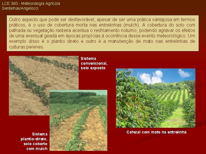 LCE 360 - Meteorologia Agrícola Sentelhas/Angelocci Outro aspecto que pode ser desfavorável, apesar de