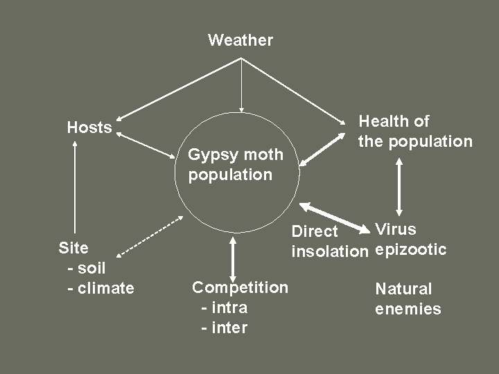 Weather Hosts Gypsy moth population Site - soil - climate Health of the population