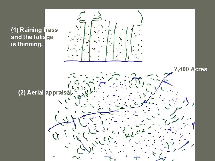 (1) Raining frass and the foliage is thinning. 2, 400 Acres (2) Aerial appraisal