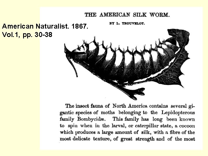 American Naturalist. 1867. Vol. 1, pp. 30 -38 